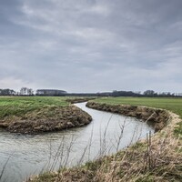 633860b3-c68f-484f-abca-67a0ca5fe730.jpeg