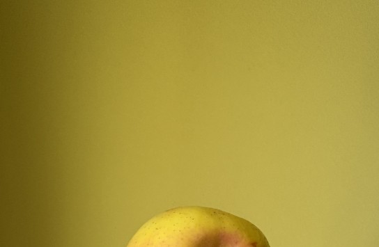  (vergroot foto)