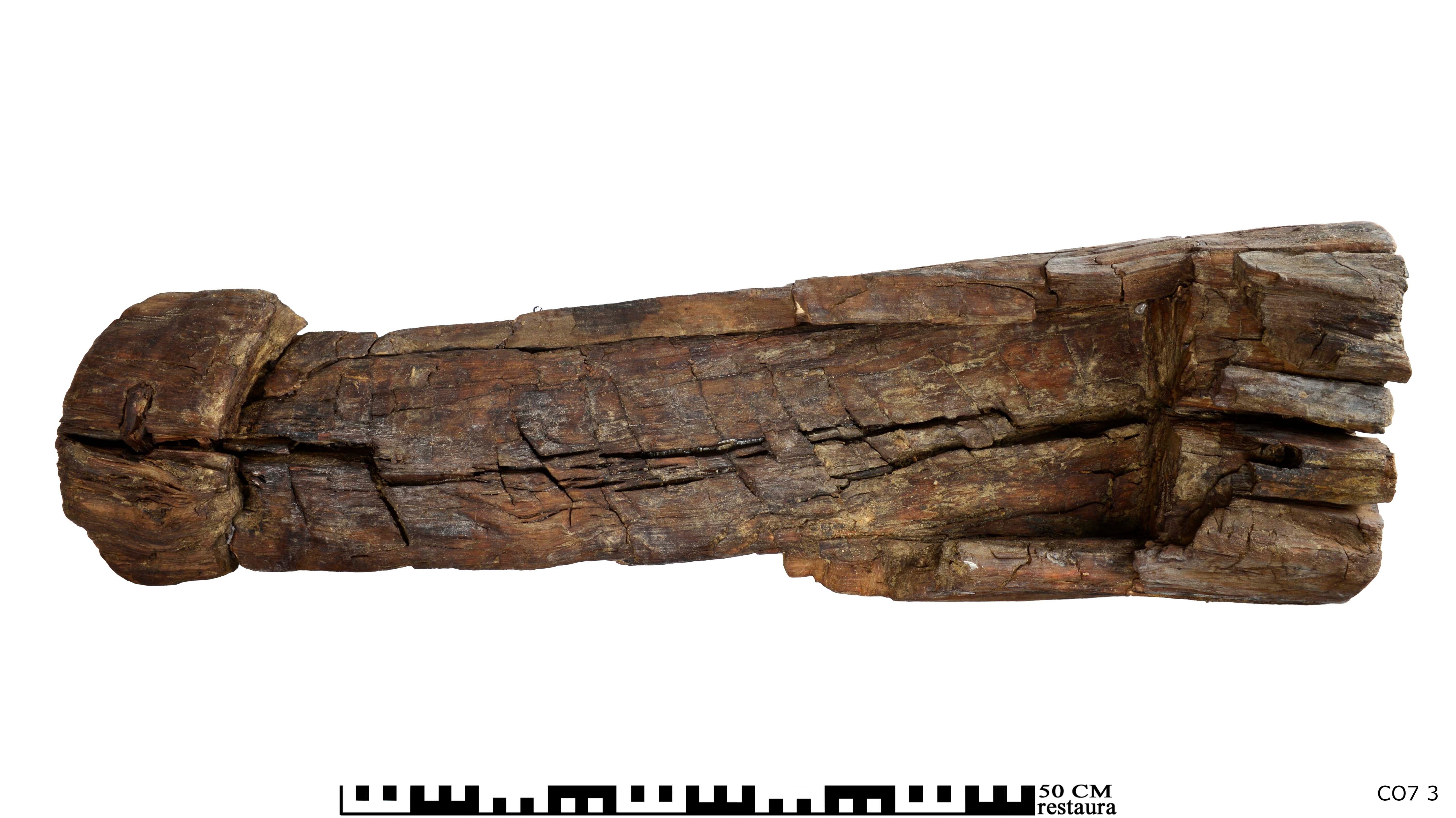 Boomstamgraf na conservatieproces Boomstamgraf na conservatieproces