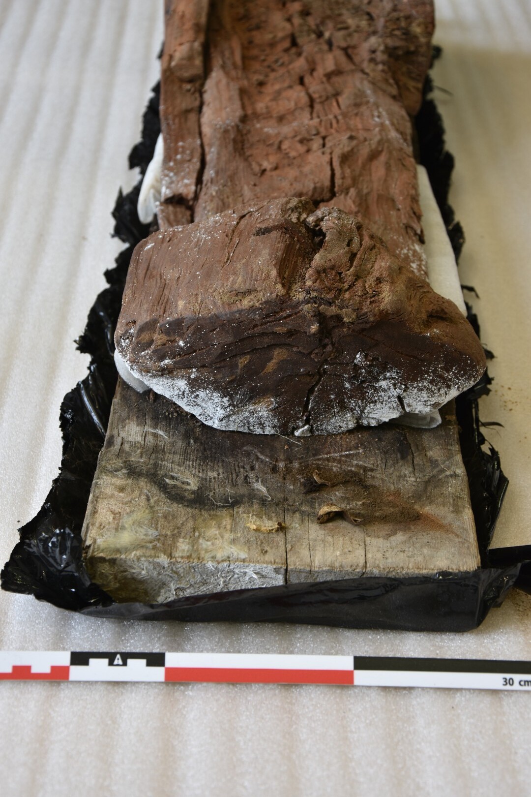 Schimmelschade op het graf voor conservatie