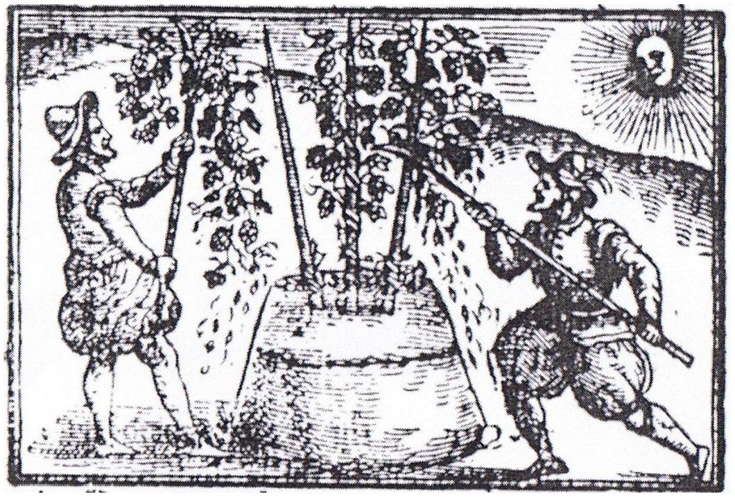 Gravure Reynold Scott - 1578