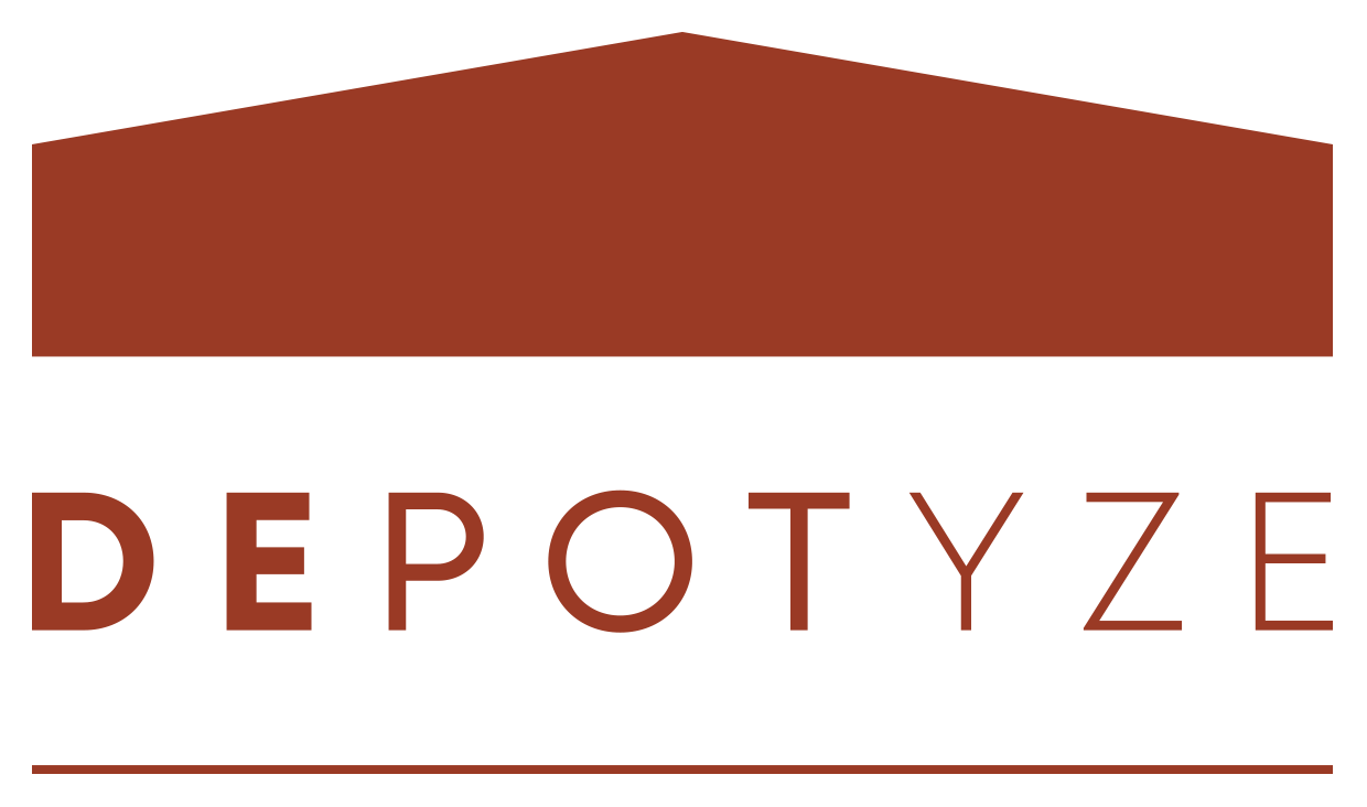 logo DEPOTYZE