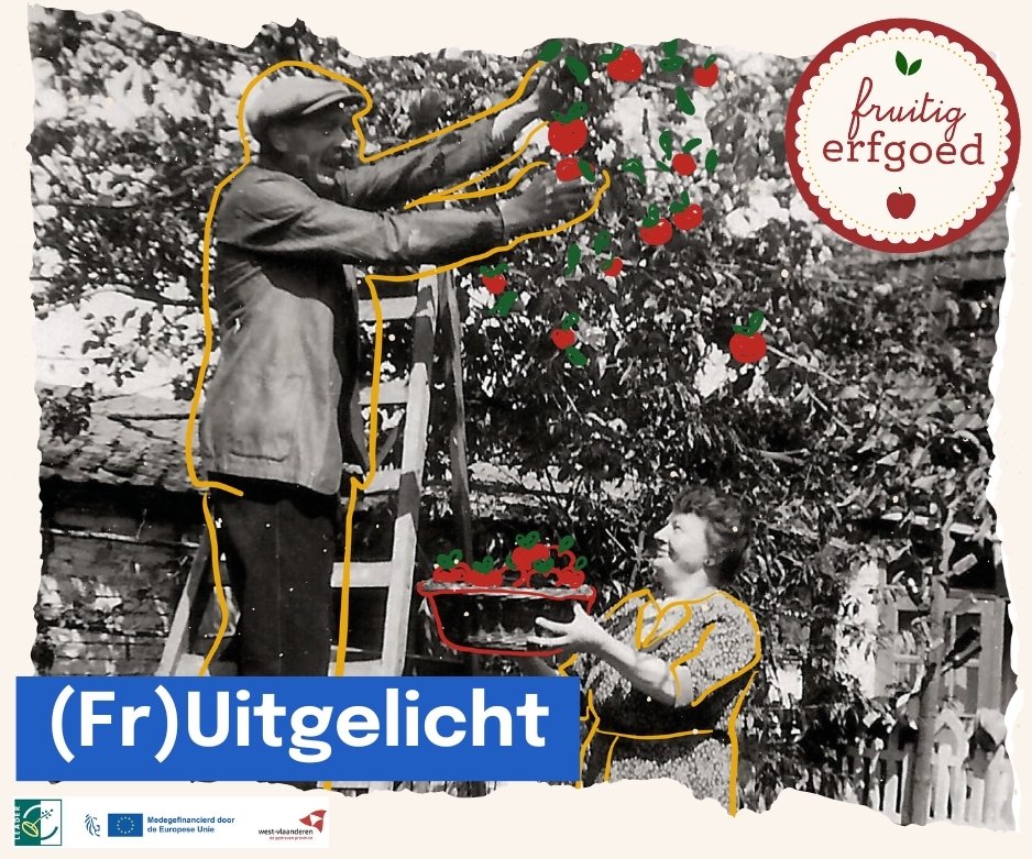 Banner (fr)uitgelicht