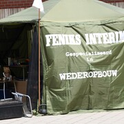Feniks Interim